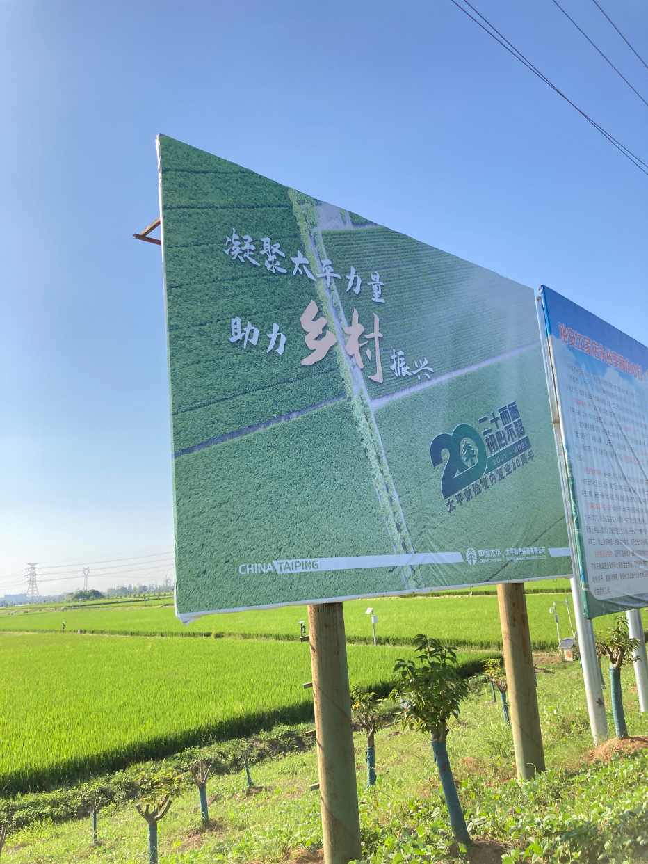 两会现场速递丨“皖”美逆袭！走出贫困的大别山古村邀客来