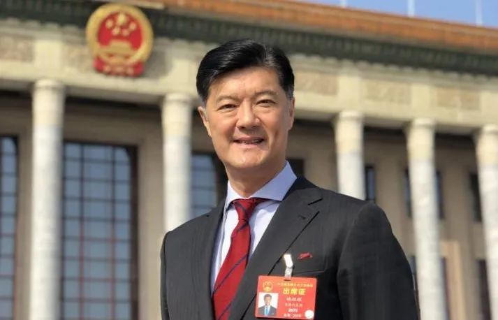 两会数说中国丨从两高报告数据感受平安中国