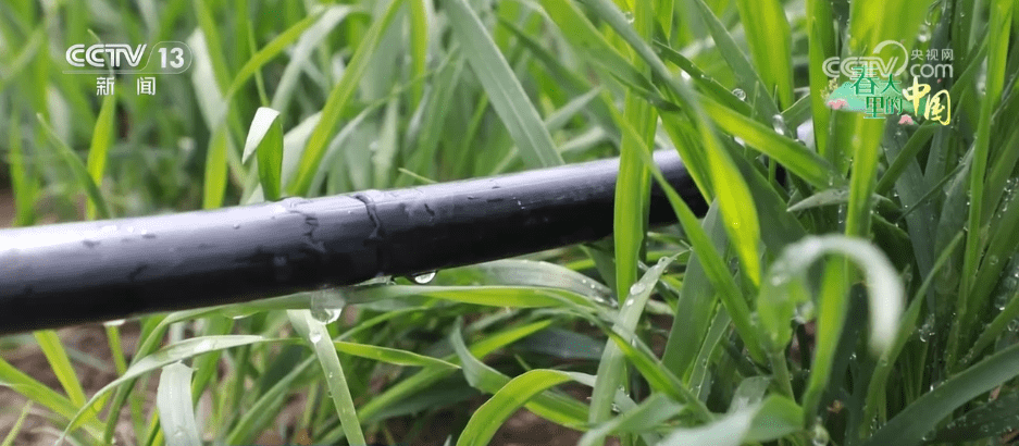 万象“耕”新 智绘“丰”景——各地春耕春管一线扫描