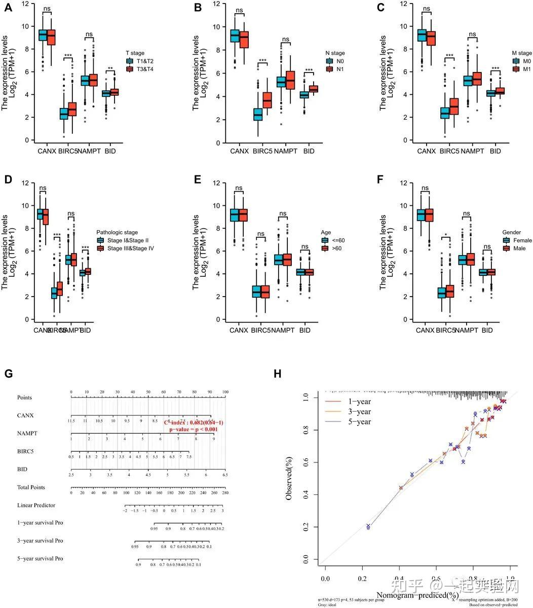 东鹏饮料：构筑“A+H”双平台下的增长新曲线